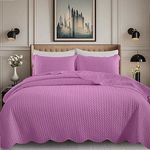 Modern Quilted Bedspread Reversible Velvet Coverlet Set Soft Quilt Comforter